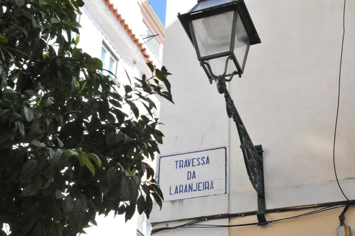 Apartment Spacious & Bright 3 Bedroom Apt, Iconic Bica Area, Historical Center *
